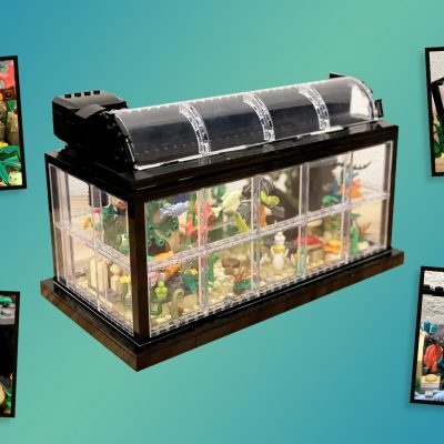 Fish Tank Aquarium