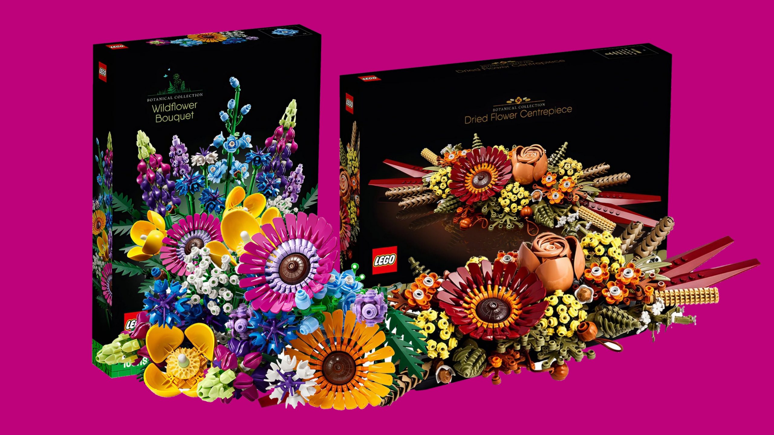 Nouveautés LEGO Icons Botanical Collection 2023 : 10313 Wildflower Bouquet  et 10314 Dried Flower Centrepiece - HelloBricks
