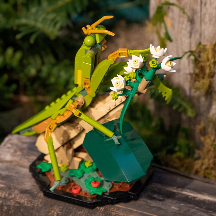 LEGO Ideas Insect Collection (21342) Set Officially Revealed