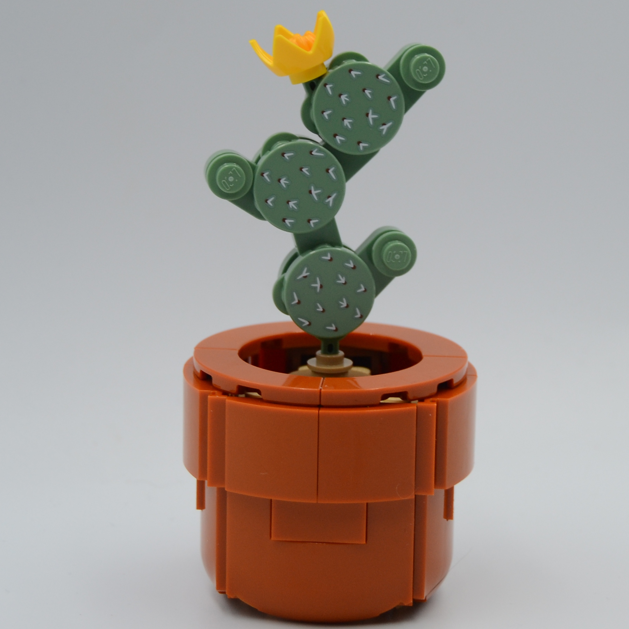 LEGO Botanical Collection Tiny Plants (10329) Review – The Brick Post!